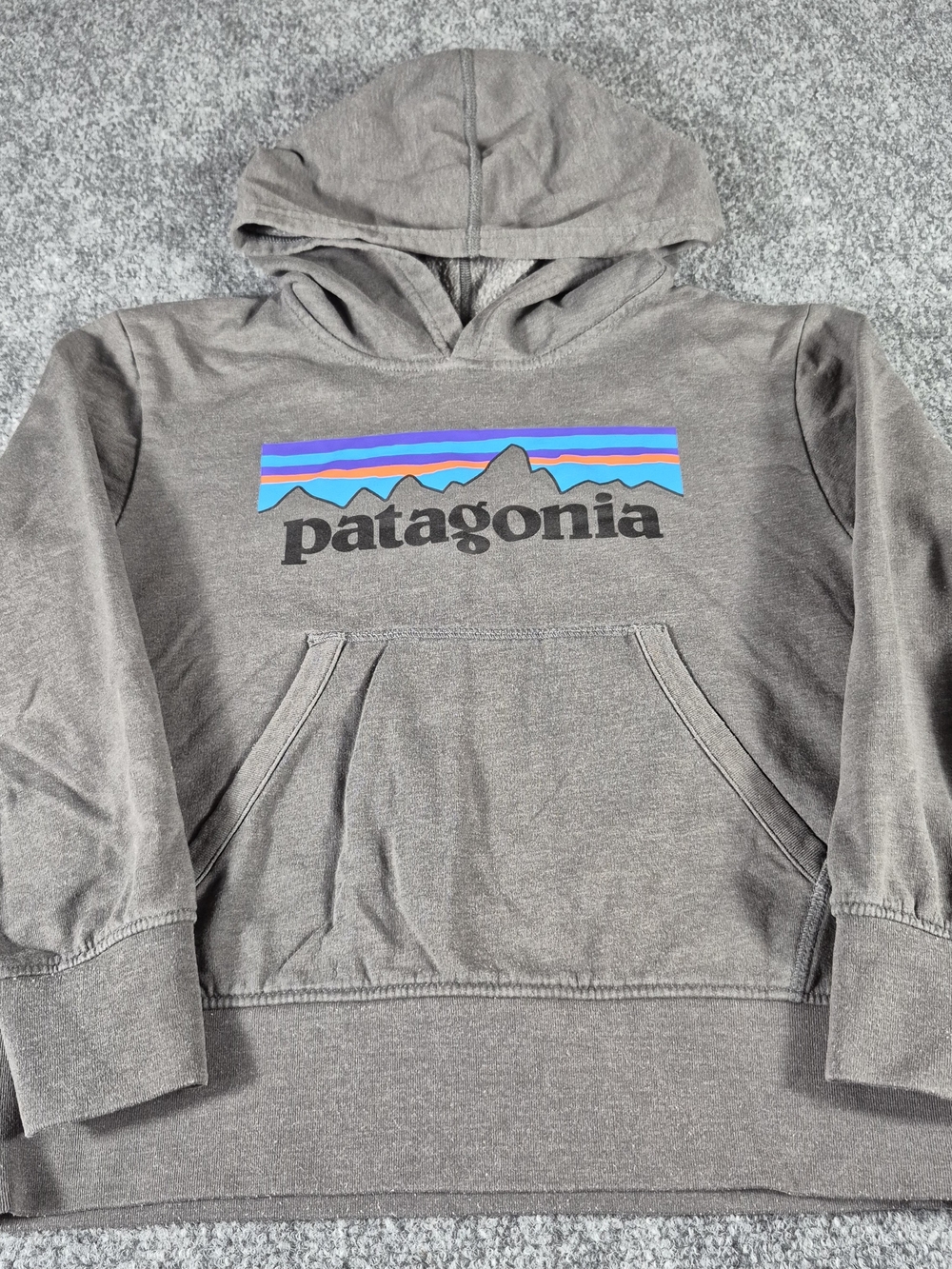 Patagonia Hoodie Sweatshirt Men's Small S Gray Spellout Fitz Roy Logo Pullover